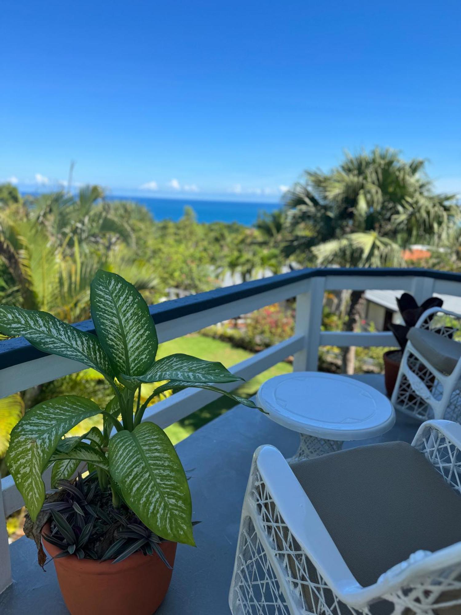 Catalina, Cabrera Oceanview Multi 2 Bd 2 Bath Condo Units With Balcony And Pool ภายนอก รูปภาพ