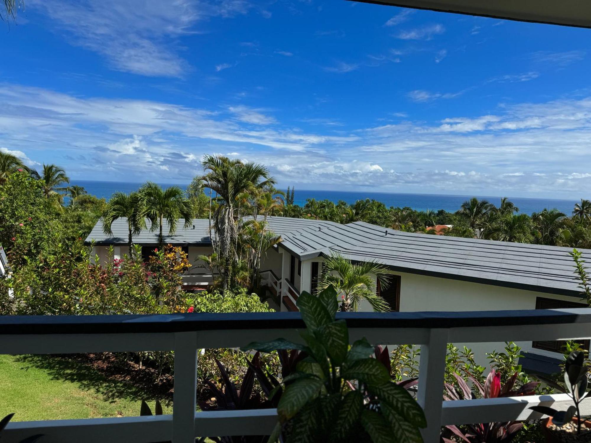 Catalina, Cabrera Oceanview Multi 2 Bd 2 Bath Condo Units With Balcony And Pool ภายนอก รูปภาพ